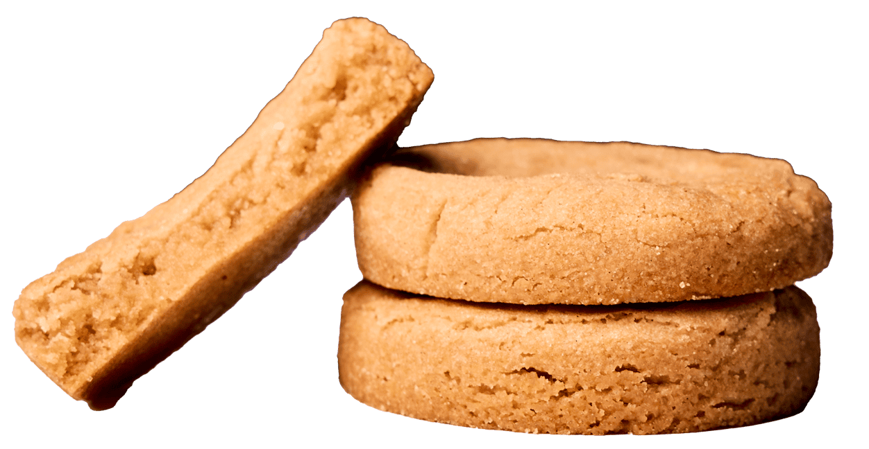 Cookie Plug Cinnamon Snickerdoodle Cookie