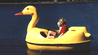 Classic Duck – Product Image