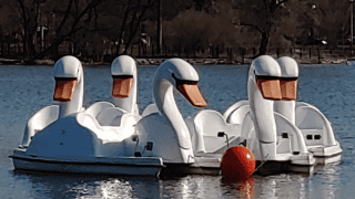 Platform Birds – Product Image