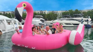 Flamingo – Product Image
