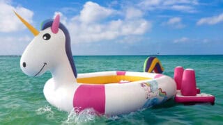 Mythical Unicorn -gallery