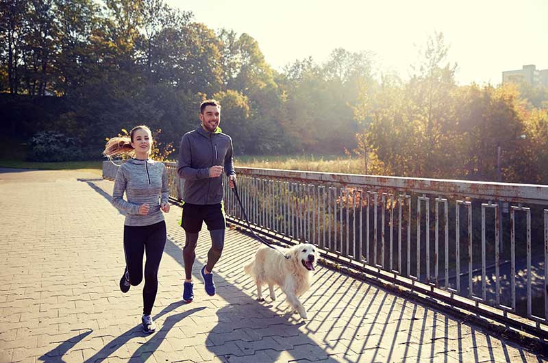 A man and woman jog on a paved path next to a railing, accompanied by a golden retriever, with trees and sunlight in the background.