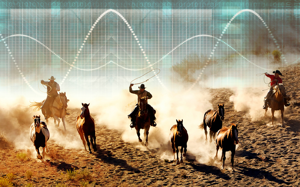 Investing cycles - Lessons from the Magnificent 7