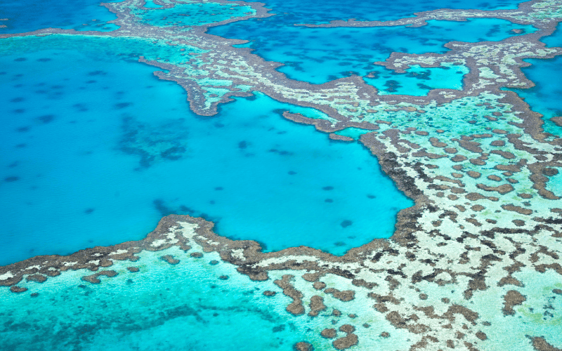 Kreuzfahrt Down Under Indonesien Vasco Da Gama Weltreise nickt Cruises Great Barrier Reef
