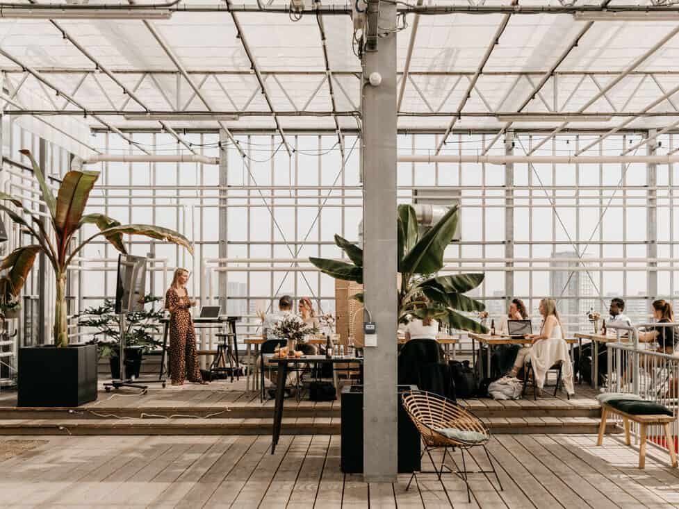 Den Haag, Haags Hoog