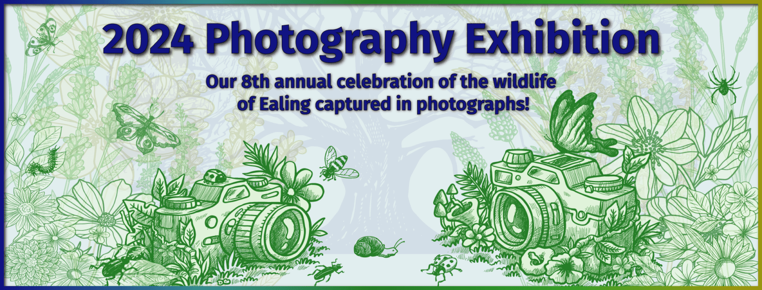 2024 Annual Photography Exhibition is now Open for Entries! Ealing