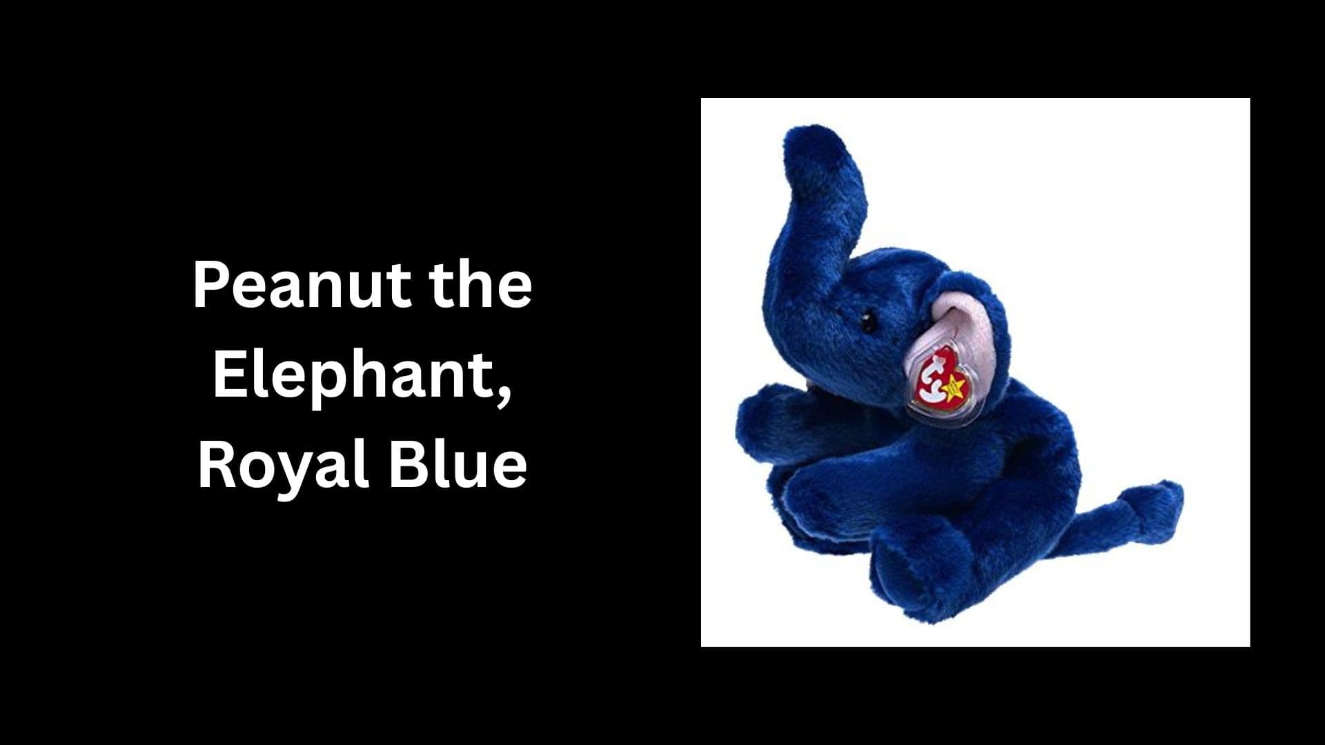 Peanut the Elephant, Royal Blue