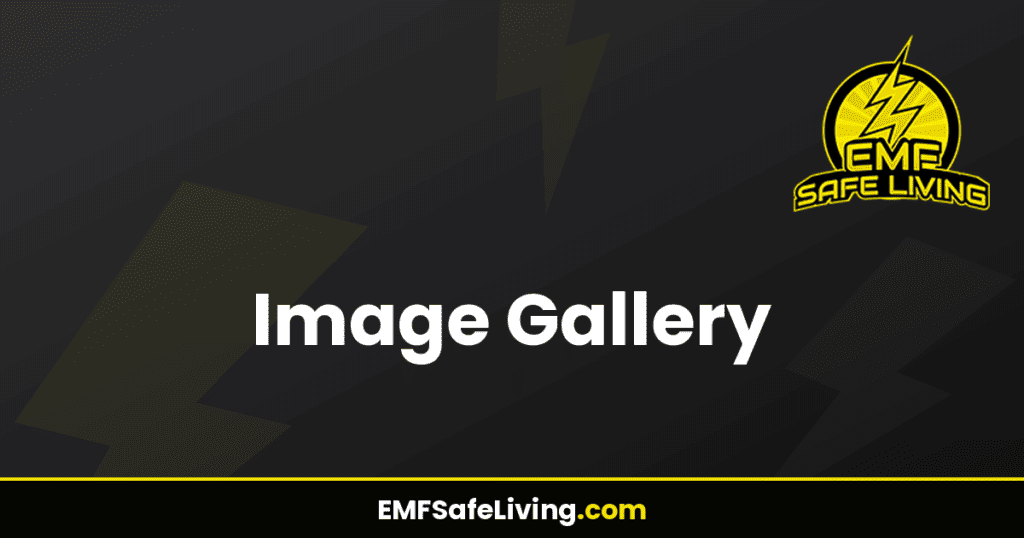 Image Gallery