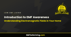 Read more about the article Introduction to EMF Awareness: Understanding Electromagnetic Fields in Your Home