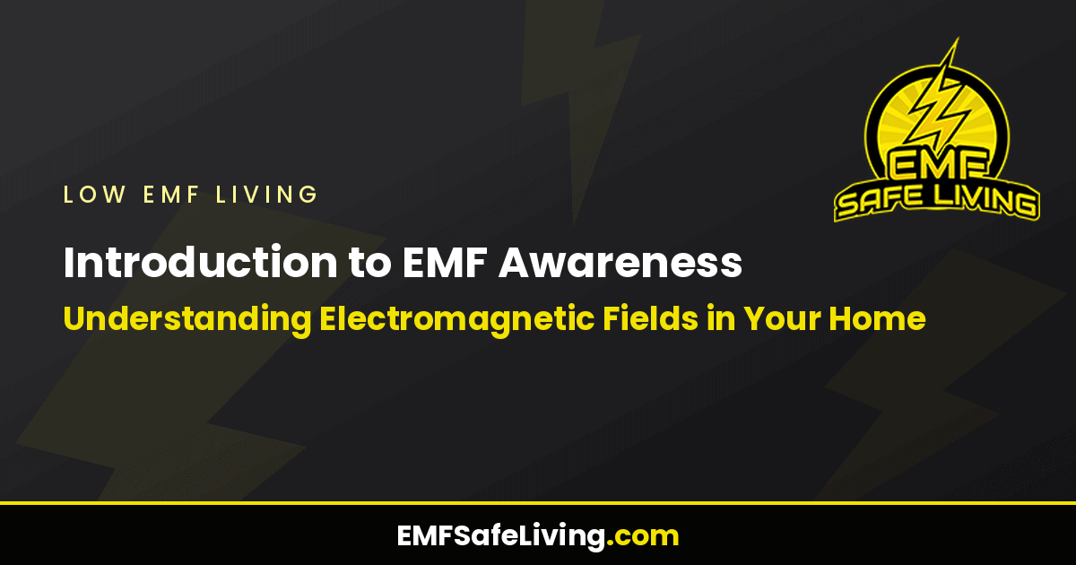 Read more about the article Introduction to EMF Awareness: Understanding Electromagnetic Fields in Your Home