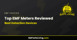 Read more about the article Top EMF Meters Reviewed: Best Detection Devices