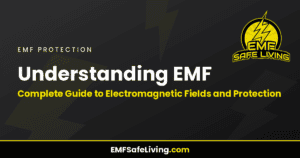 Read more about the article Understanding EMF: Complete Guide to Electromagnetic Fields and Protection