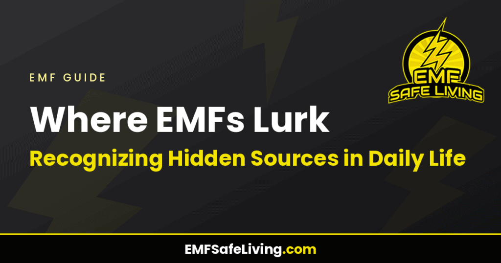 Where EMFs Lurk: Recognizing Hidden Sources in Daily Life