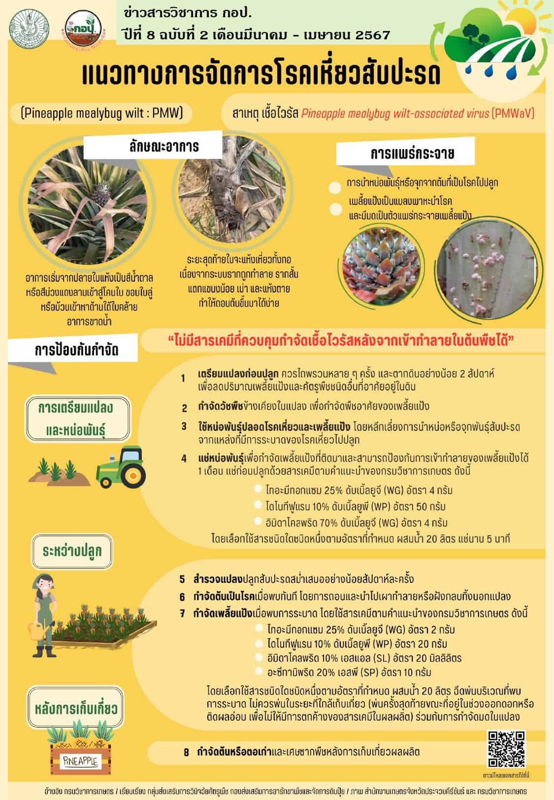 แนวทางการจัดการโรคเหี่ยวสับปะรด