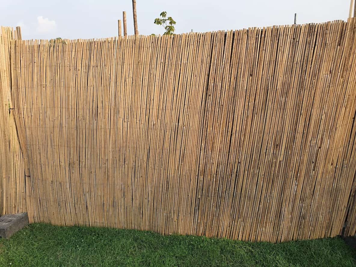 Bamboemat 5x2m - Afbeelding 3