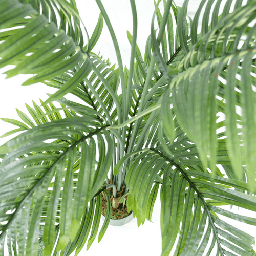 Kunstpalm 180cm 1 - Afbeelding 5