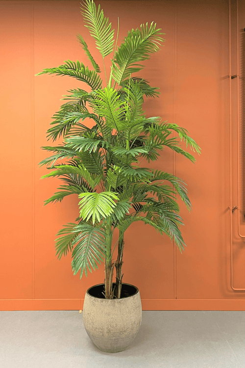Kunstpalm 230cm A - Afbeelding 2