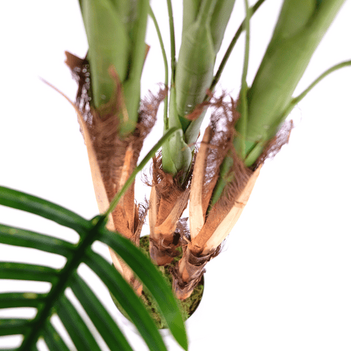 Kunstpalm 230cm A - Afbeelding 6