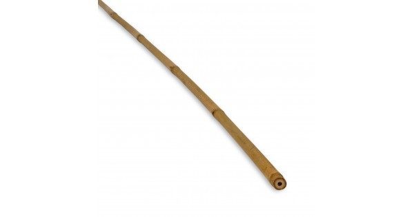 Bamboestok Tonkin 30-35mm x 427cm