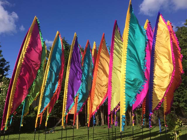 Festival vlaggen pakket 25x