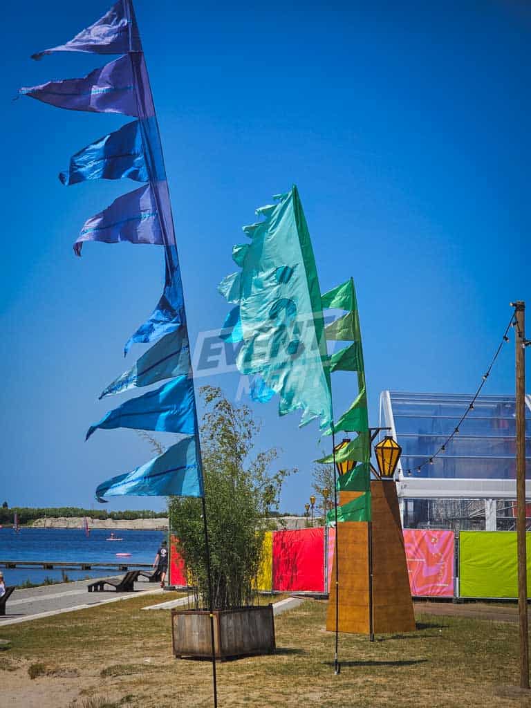 Festival vlaggen pakket 25x - Afbeelding 3