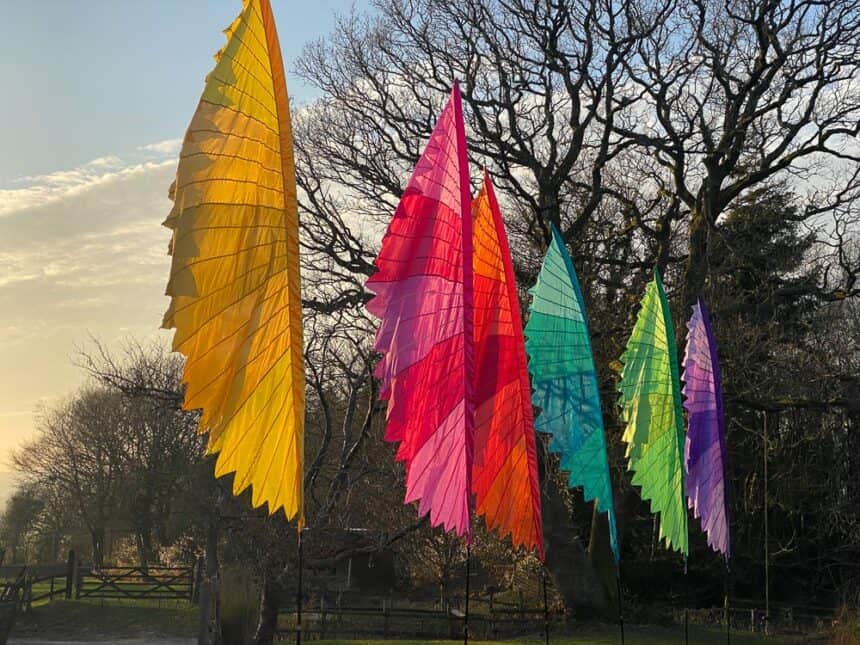 Festivalvlag Feniks (4.5m) - Afbeelding 5