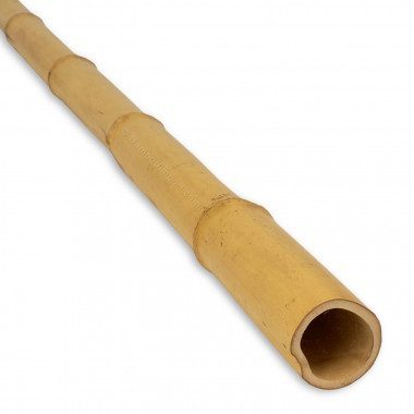 Bamboepaal Moso 5-7cm x 600cm (Licht Deco)