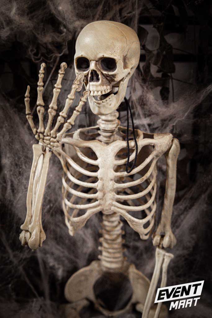 Halloween Skelet - 90cm - Afbeelding 3