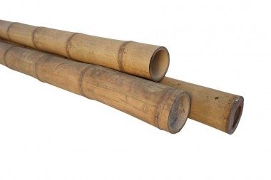 Bamboepaal Guadua 5-7cm x 500cm (Sterk)