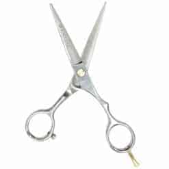 Tijeras corte de cabello peluqueros raugcci titanium plata 5,5
