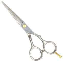 Tijeras corte de cabello peluqueros raugcci titanium plata 5,5