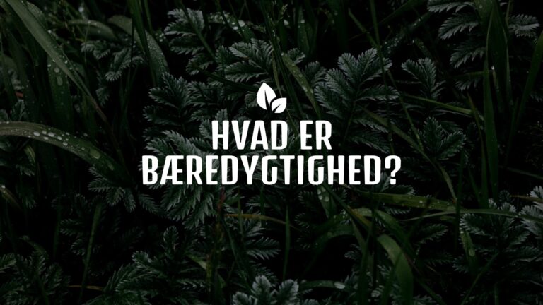 Hvad betyder bæredygtigt? En guide til bæredygtighed