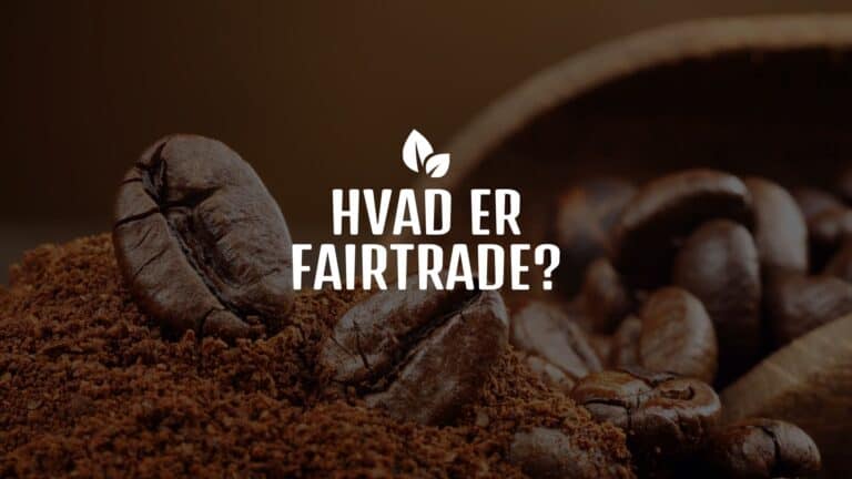 Hvad er Fairtrade? Guide til fair handel 2025