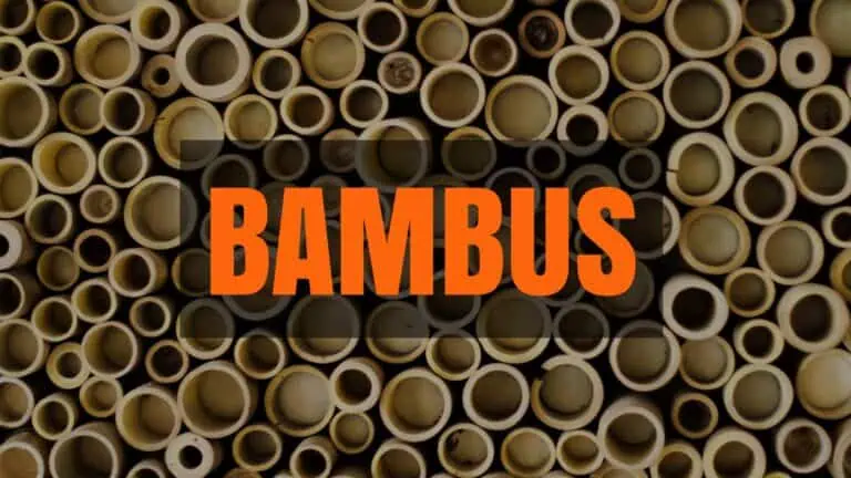 Hvordan laves bambus tøj?