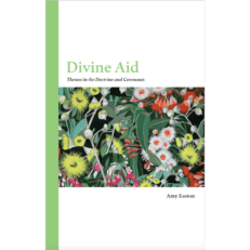 Divine Aid: Themes in the Doctrine and Covenants