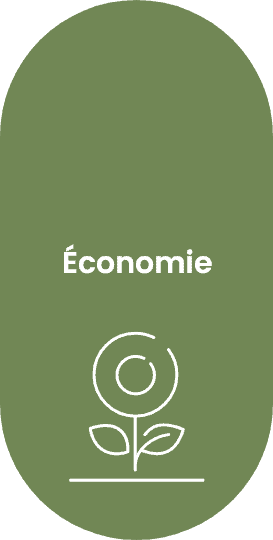 Economie