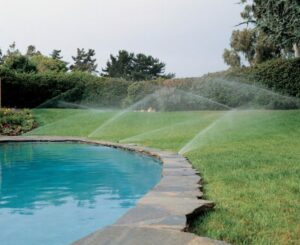 Evergreen Sprinkler - FindHempCBD.com