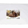 Naturalfit Alfalfa 15kg: Chopped Alfalfa Stems