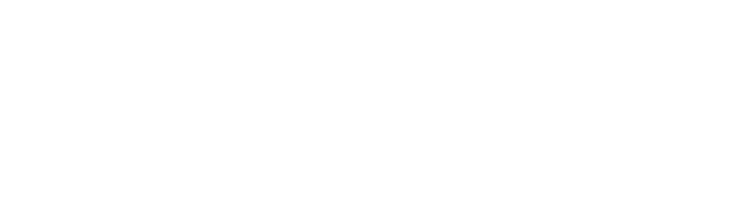 WS Form logo