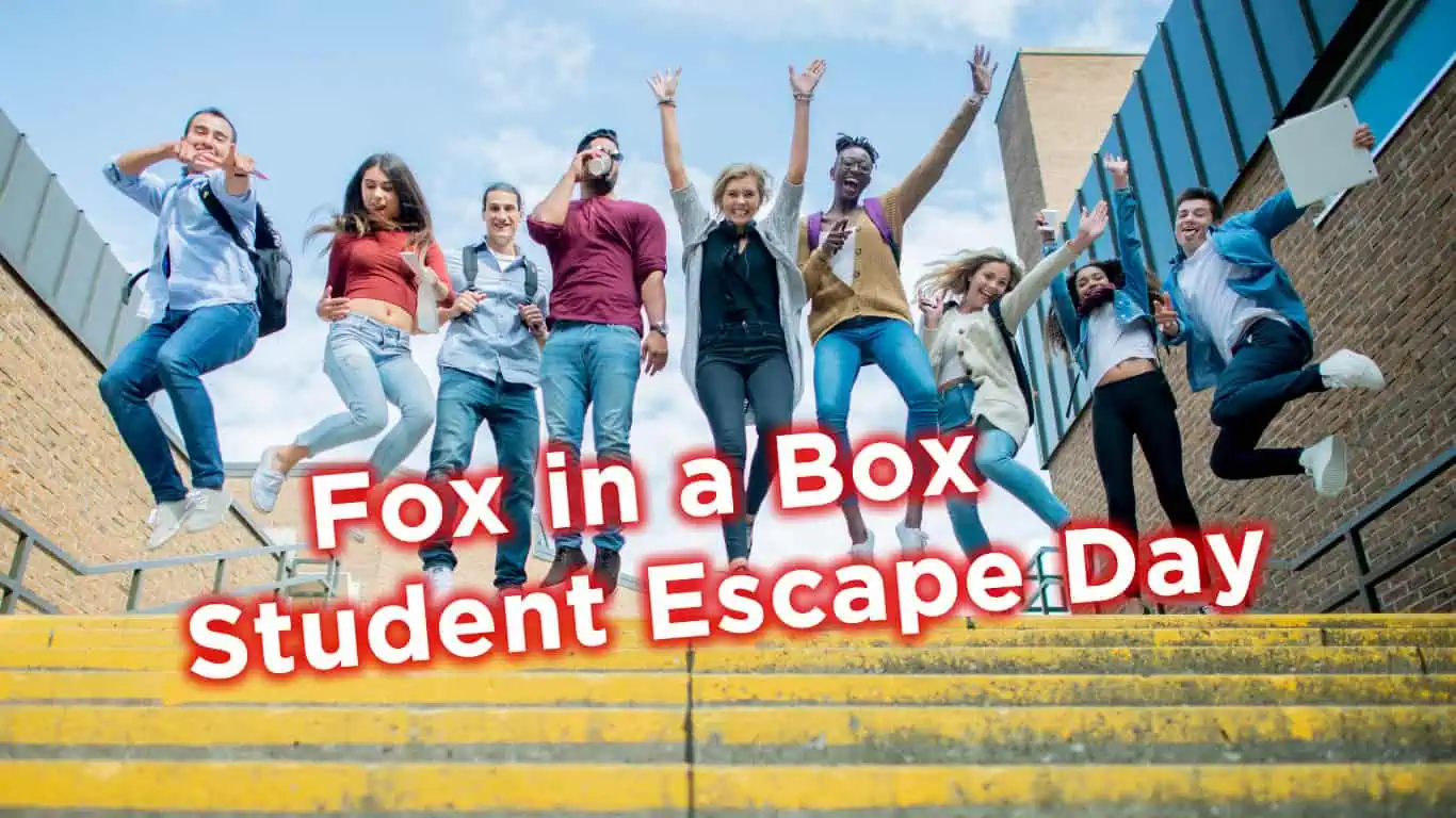 Study Break With Fox in a Box!