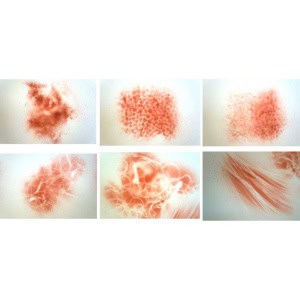 Marissa Texture Kit COMBI | Organic and SpecialFX for Airbrush - Image 3