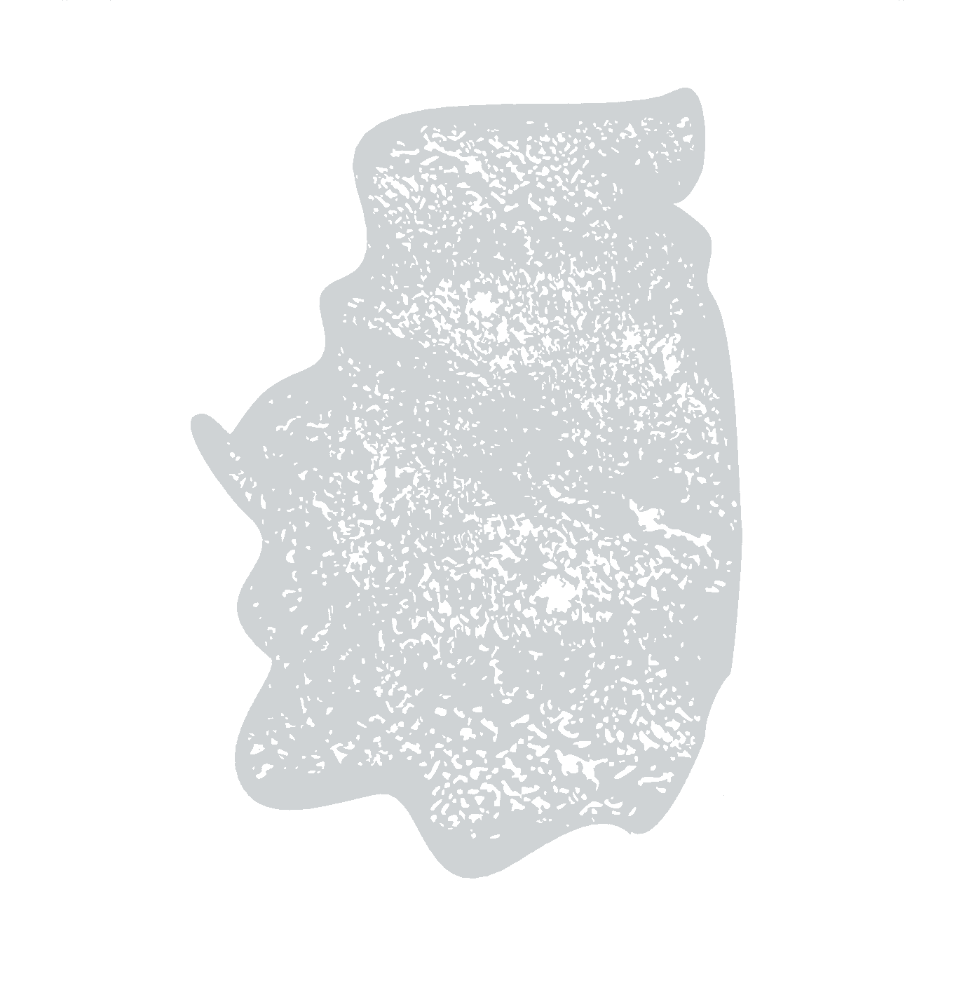 HammAirArt Organic Texture Stencil - Skin Like B