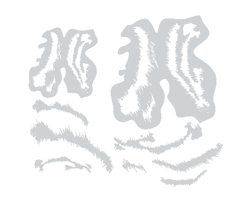 HYN Stencils - Tiger Set