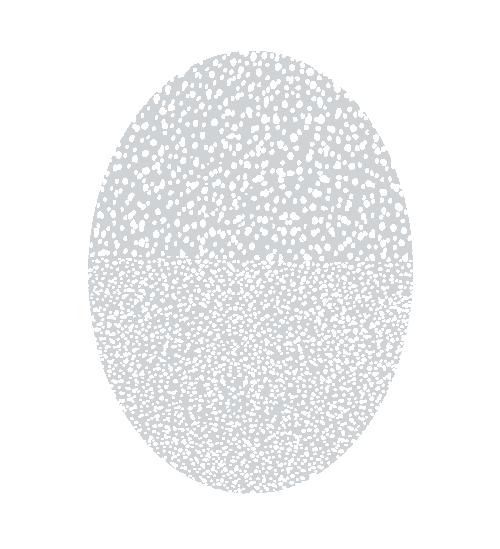 HammAirArt Mini Oval Texture Stencil -  Mini&Micro Dots