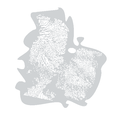 HammAirArt Skin Texture Stencil Combo 3in1