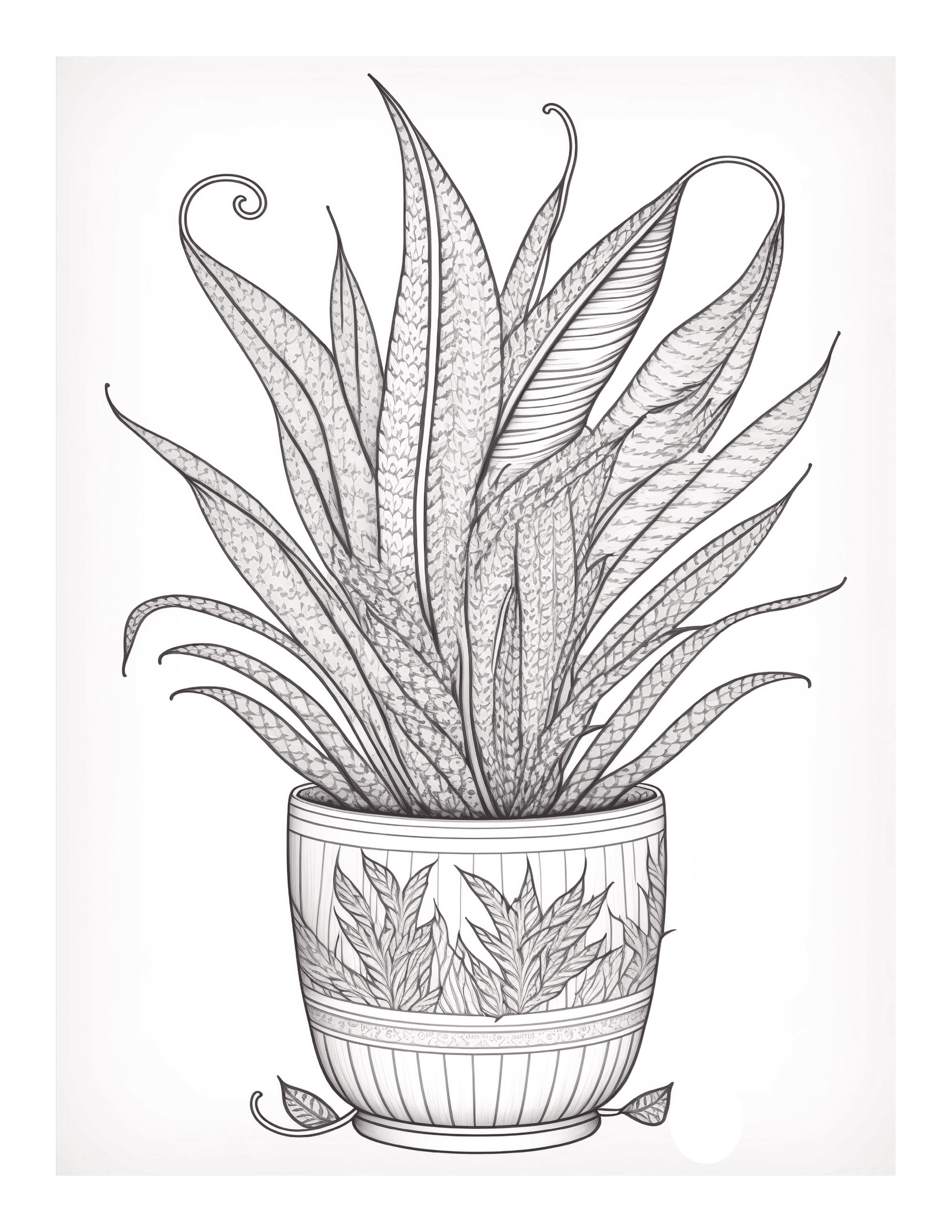 Free Plant Coloring Page 73 Free Coloring Adventure