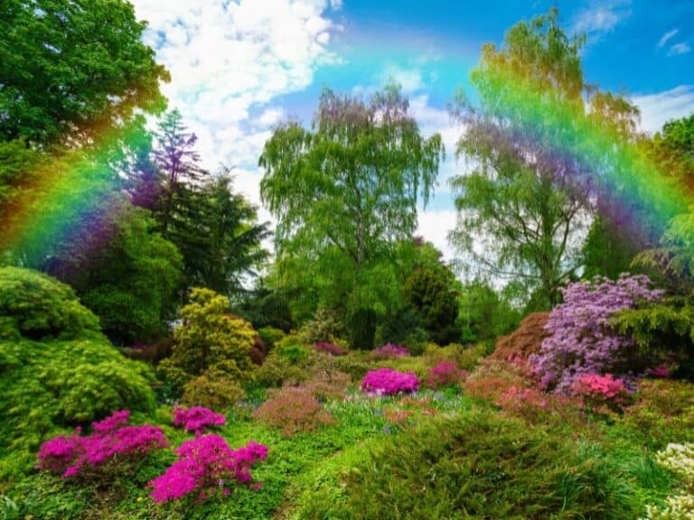 Fascinating facts about spring