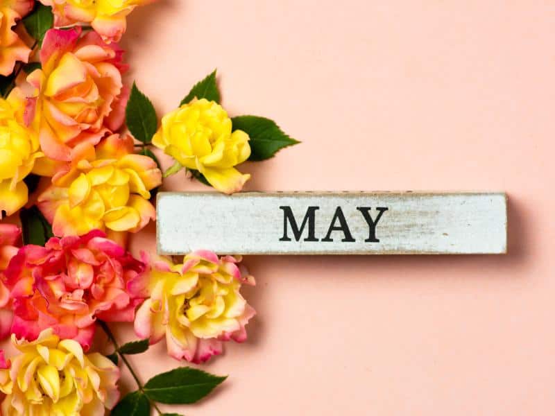 facts-about-march-6-what-happened-this-day