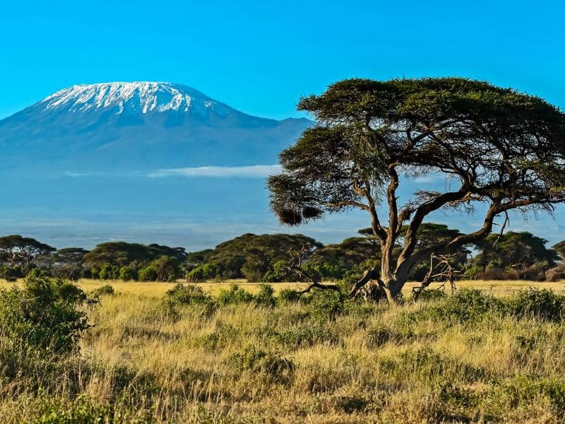 African savanna in Kenya