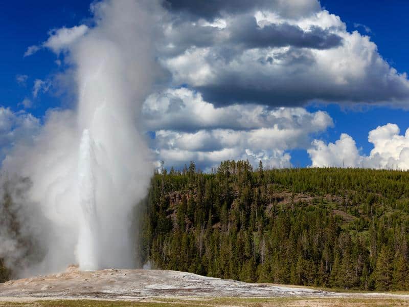 A geyser erupting in Yellowstone National Park with steam rising against a blue sky